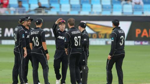 New Zealand Announce Squad For Australia T20Is; Injured Martin Guptill Retained