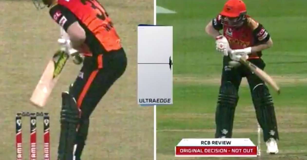 David Warner