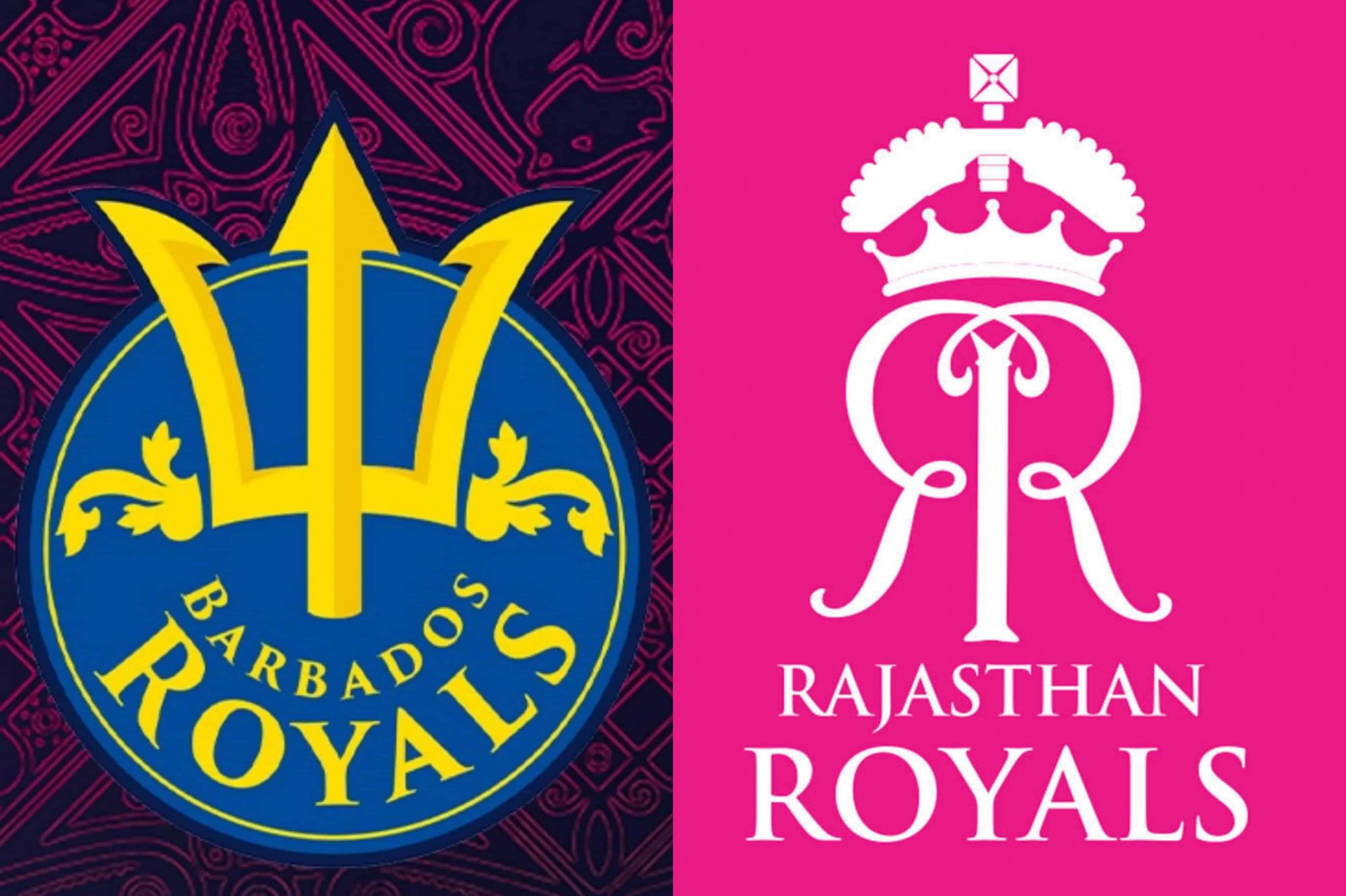 Rajasthan Royals Become 3rd IPL Franchise After Punjab Kings To Own Caribbean Premier League Side