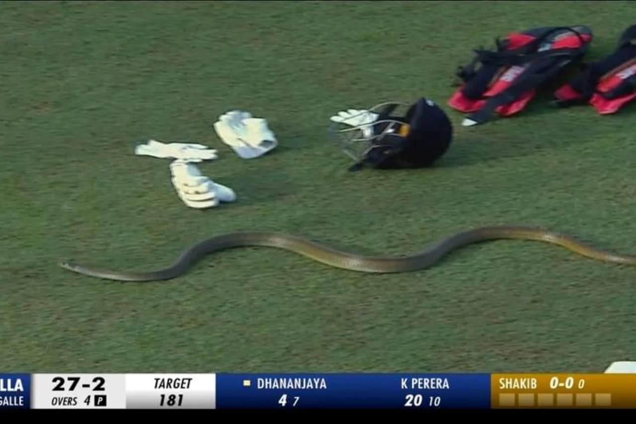 Snake Interrupts Lanka Premier League Match
