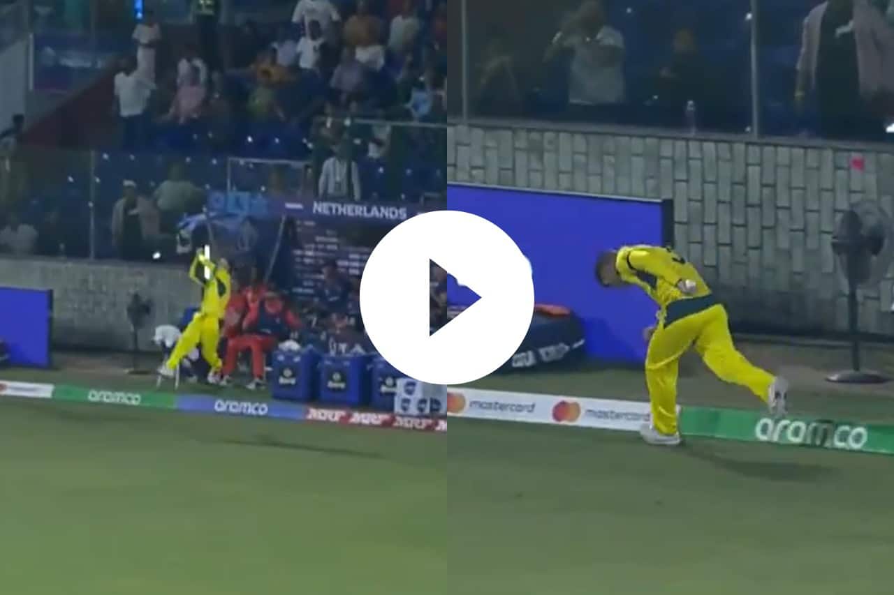 AUS vs NED David Warner Sensational Catch Near Boundary Rope