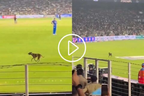 Ahmedabad Crowd Chants ‘Hardik Hardik’ As Dog Enters Ground During GT vs MI of IPL 2024