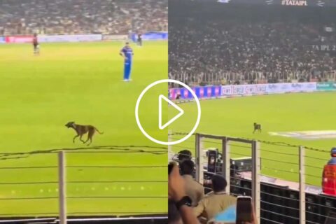 IPL 2024: [Watch] Ahmedabad Crowd Chants ‘Hardik Hardik’ As Dog Enters Ground During GT vs MI, Video Goes Viral