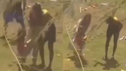 [Watch] Hardik Pandya Spotted Playing Holi with Rohit Sharma’s Wife Amid Rift Reports