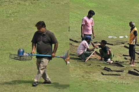 Afghanistan Asked Noida As Venue for Test Match Against New Zealand, BCCI Not at Fault