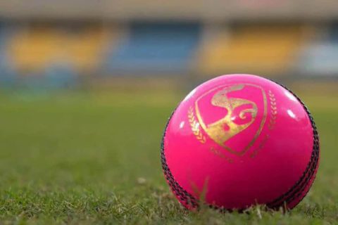 What is Pink-Ball Test? Here’s Everything You Need to Know About It